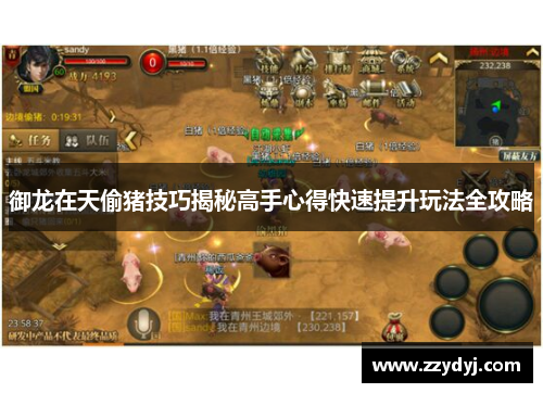 御龙在天偷猪技巧揭秘高手心得快速提升玩法全攻略