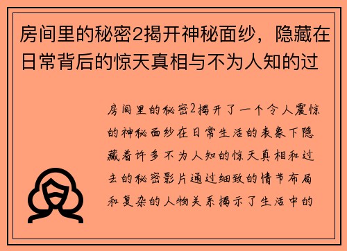 房间里的秘密2揭开神秘面纱，隐藏在日常背后的惊天真相与不为人知的过去