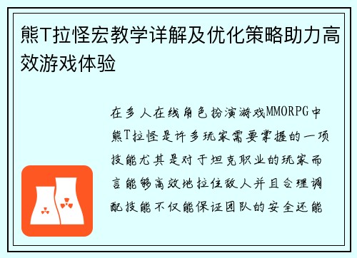 熊T拉怪宏教学详解及优化策略助力高效游戏体验